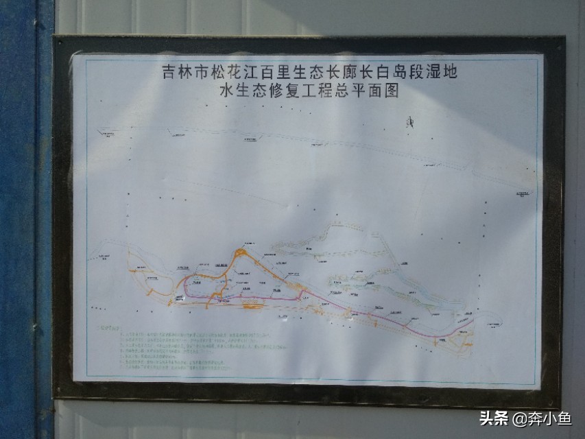 吉林市松花江生态旅游风景区,吉林松花江湿地公园