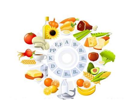 贵宾犬总是拉软便怎么办,贵宾犬的肠胃怎么调理