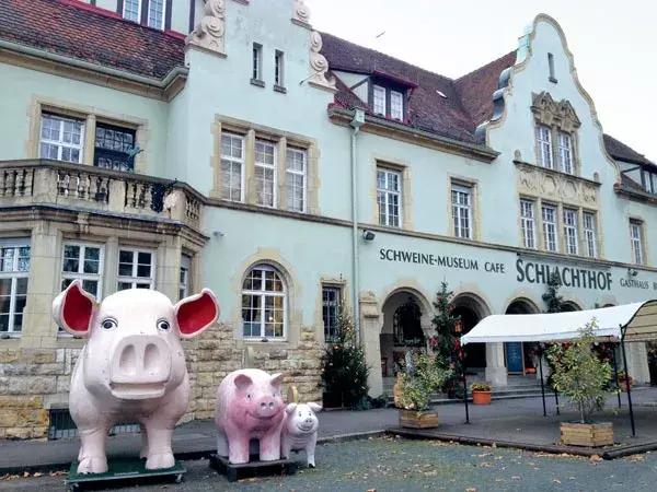 猪年说猪,猪年趣谈猪