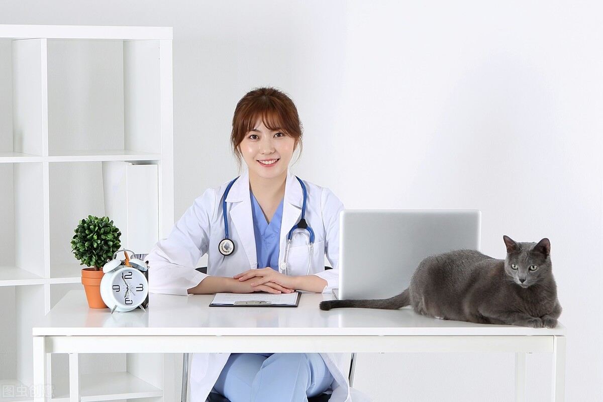 犬卵巢囊肿的症状,犬卵巢囊肿怎么才能消除掉