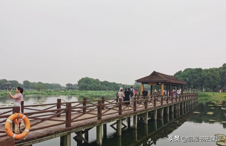 莲池湖公园赏荷花攻略,荷塘月色湿地公园最佳赏荷时间