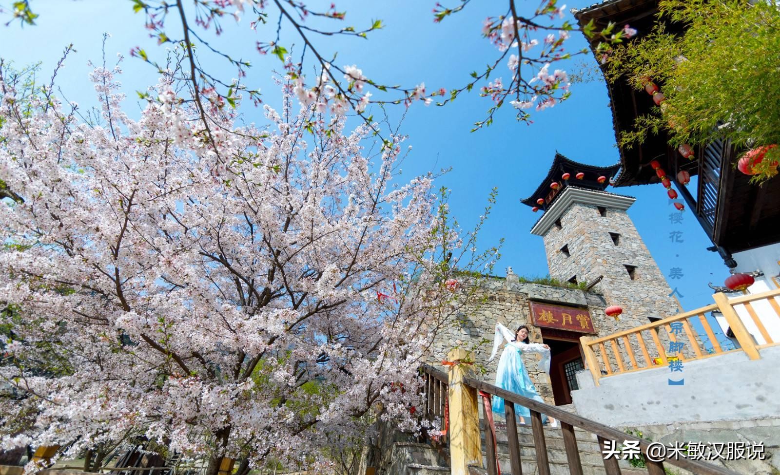 穿着汉服去赏樱花,武汉看樱花有没有汉服