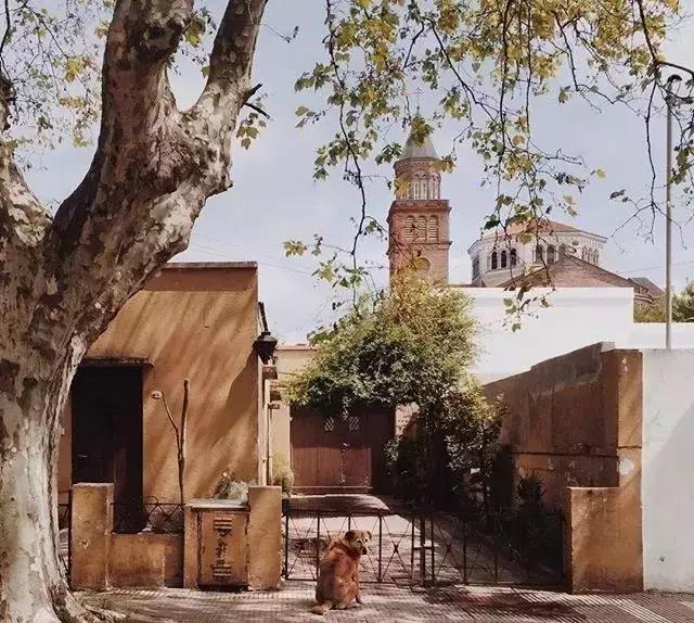 心灵鸡汤励志正能量短句名言,心灵鸡汤之励志正能量故事