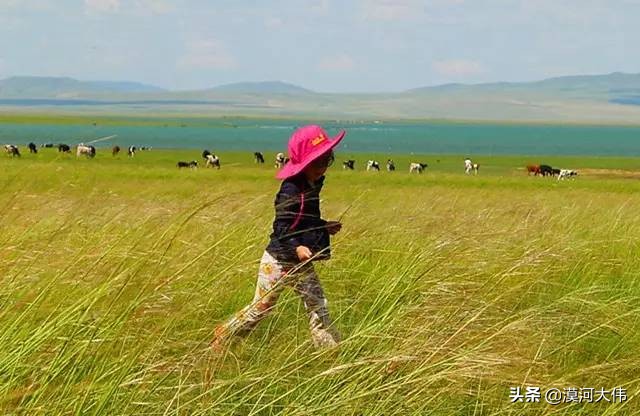 森林草原自驾游,森林亲子旅游攻略图片大全