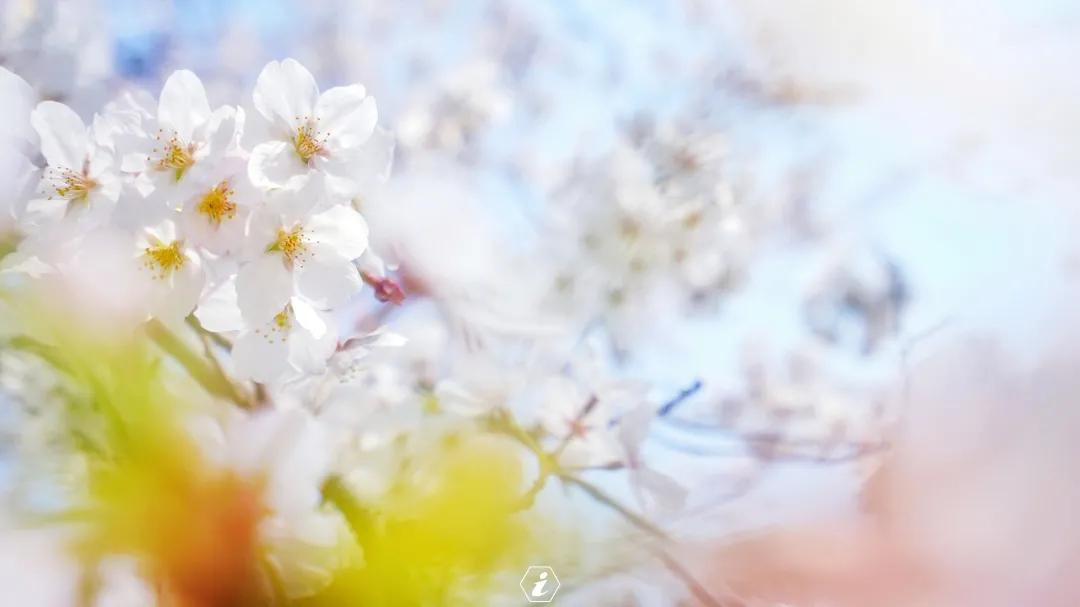 聊城姜堤乐园的门票是多少钱,姜堤乐园玻璃桥