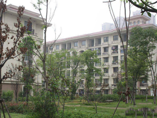 儿媳,我女儿生日,你咋不送礼物妈,姑姐和我不来往了