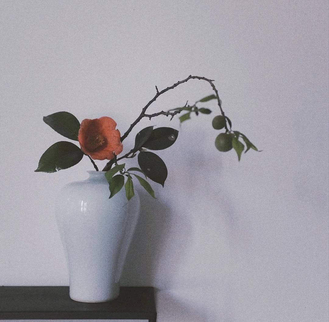 如何学习插花,如何学习插花花艺培训课程