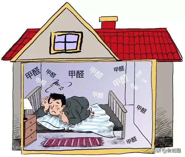 赢在起跑线上的进口刨花板——不得不服气的五大优势！