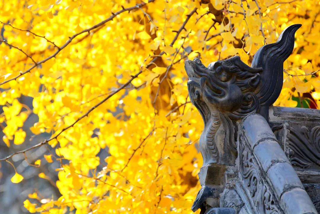 人一生太短暂别活得太累,人的一生别太安逸