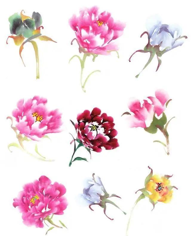 学习写意牡丹画的方法,学习写意牡丹画的步骤