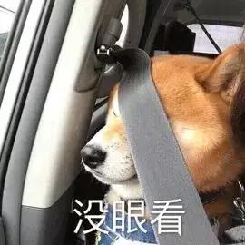 大牌种草合理避雷,避雷便宜好物