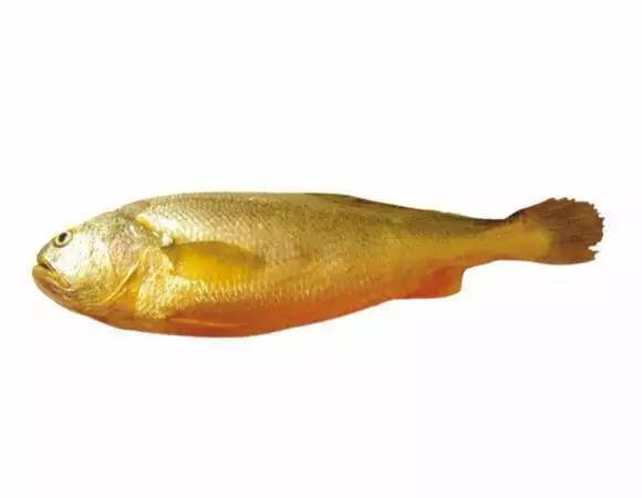 中国海鲜河鲜,市场河鲜海鲜种类大全