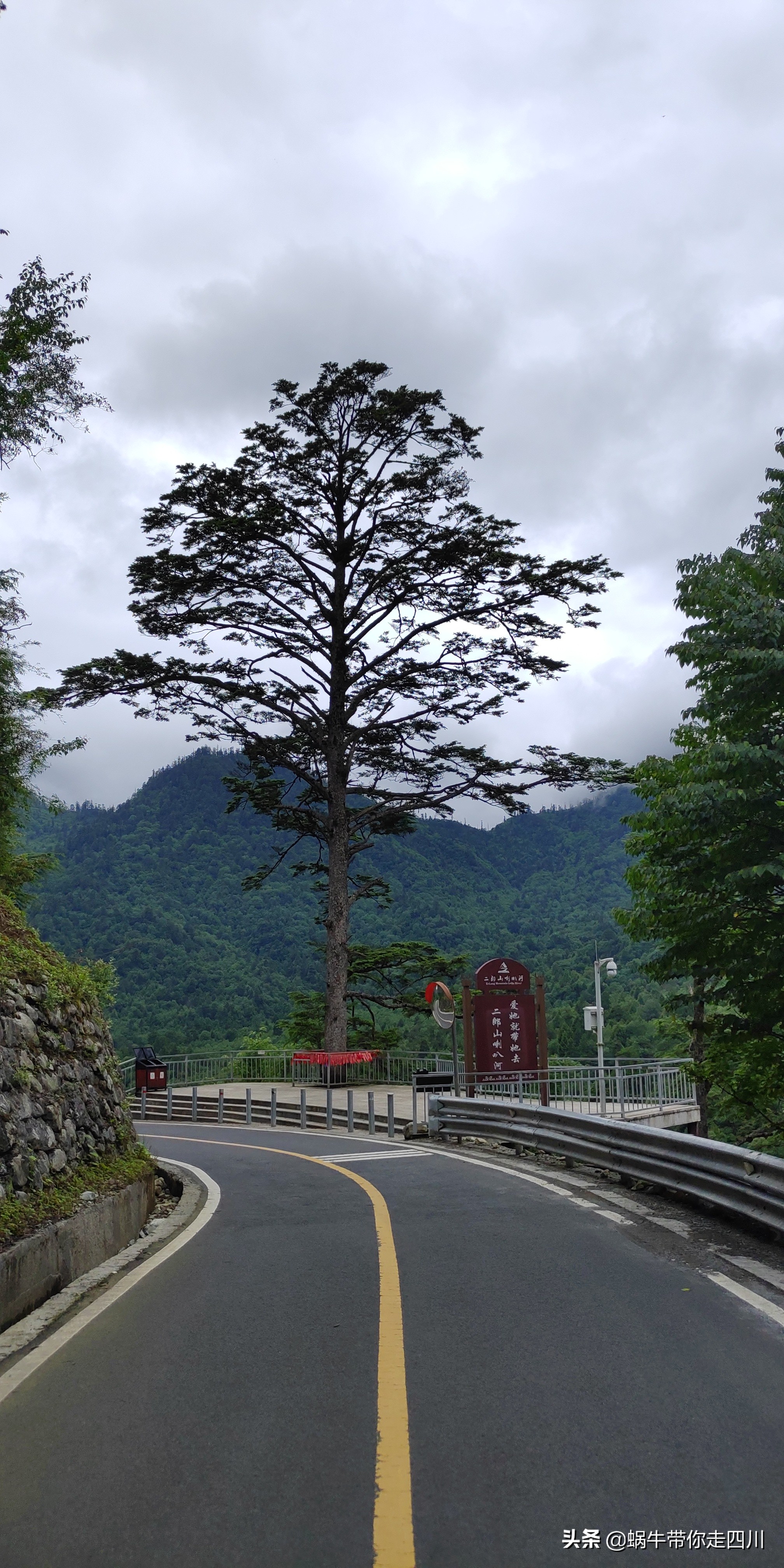 一家三口重庆到拉萨旅游攻略预算,一家三口成都去拉萨大概要多少钱