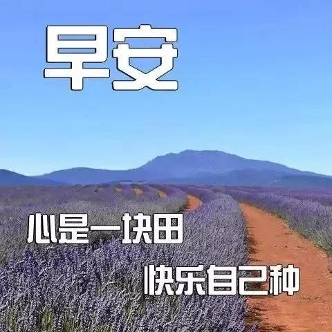 最新早上好问候语正能量图片大全,怎么自己制作早晨问候动态图片