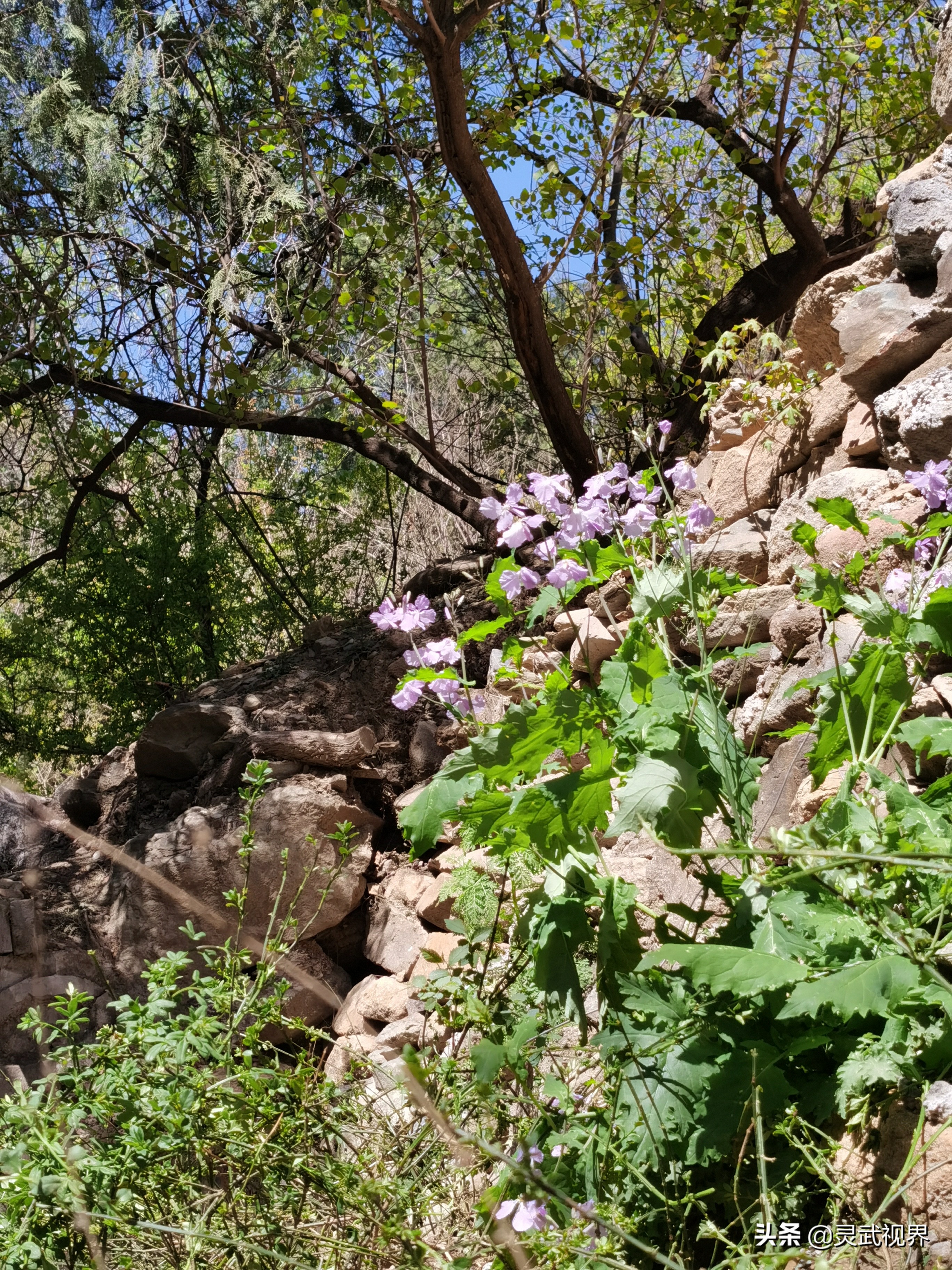 带你看看不一样的装饰,带你看看不一样的家