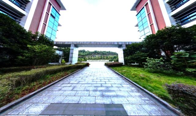 四川外国语大学位置在哪里,四川外国语大学为什么在重庆