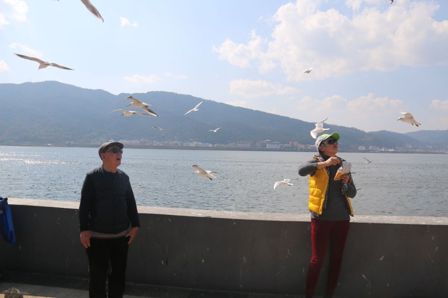 经典的自驾游七日游,66岁老人自驾游最新视频