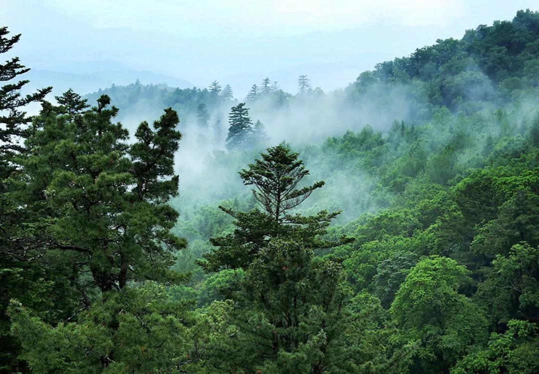 印象长白山森工地址,印象长白山森工怎么样