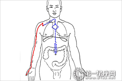 针灸学经脉循行速记,零基础学针灸十二经脉