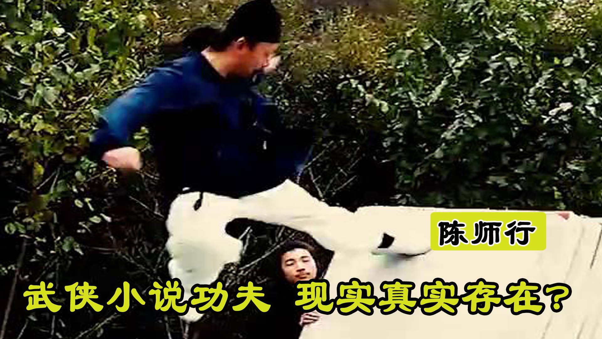 武当三丰派掌门人陈师行,武当三丰派十六代传承人陈师行