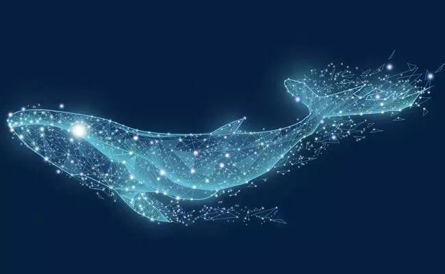 如何抵御网络病毒攻击,怎么防止网络恶意攻击