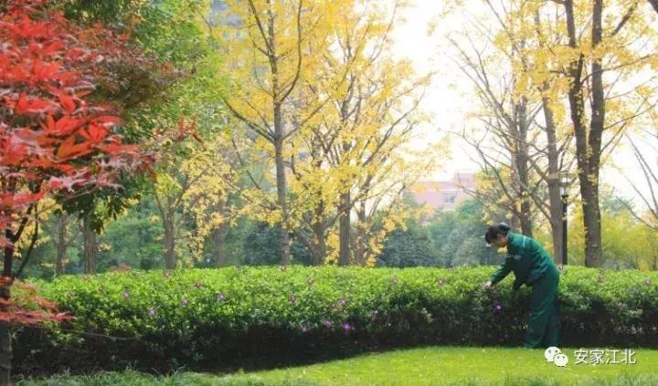 奋争近三年,江北新区这家小区即将引入大牌物业