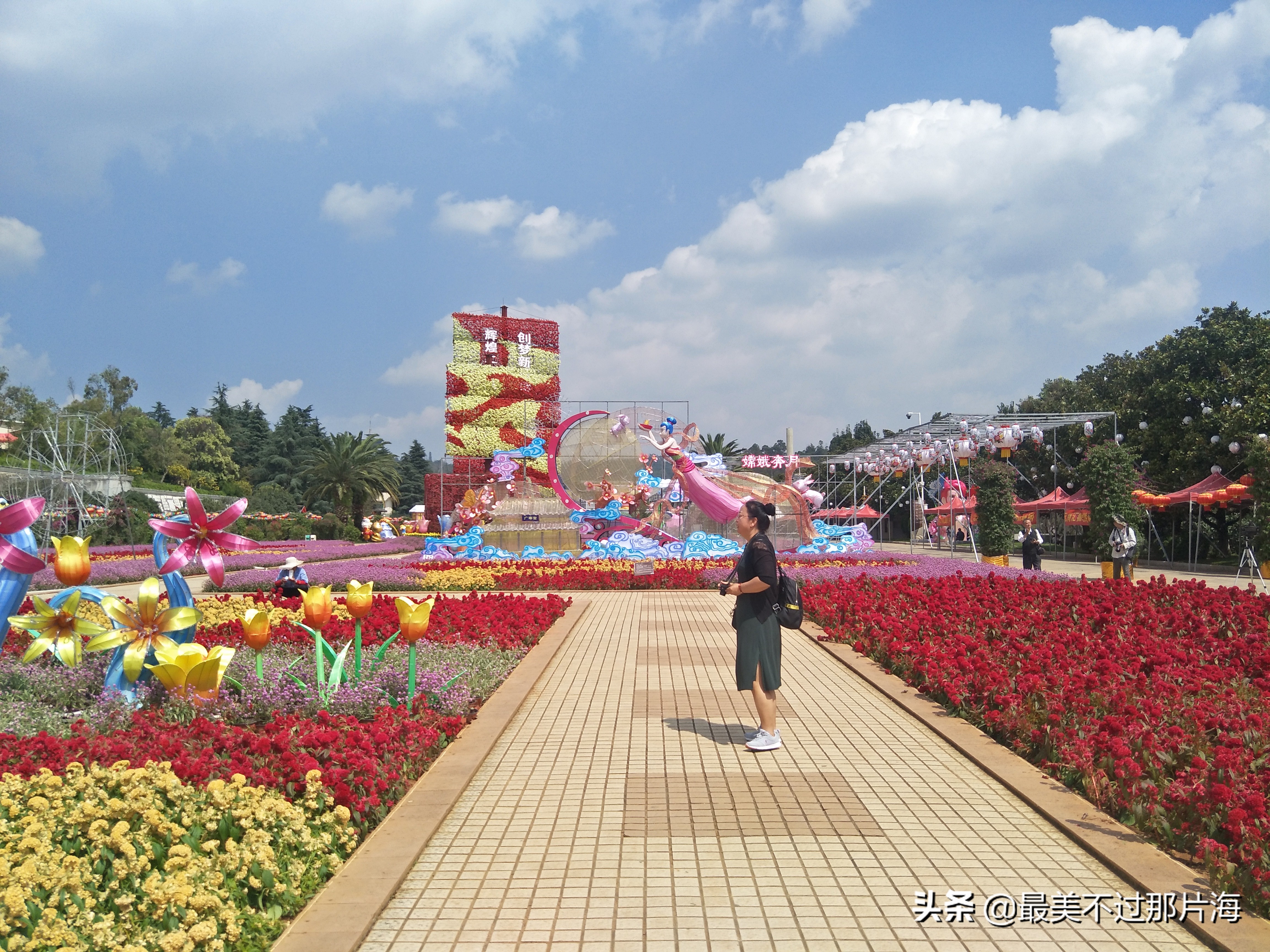 昆明世博园和云南大观园游玩攻略,昆明有个世博园四季如春好地方