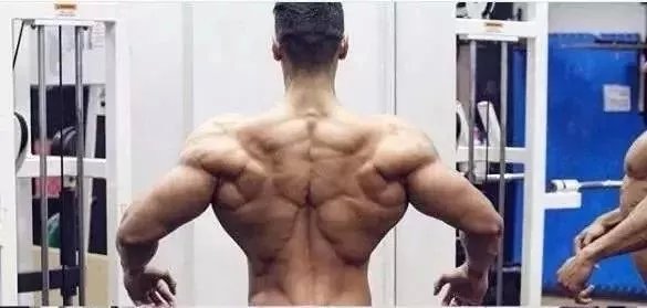 8字弹力绳健身动作大全,弹力绳健身动作大全练肚子