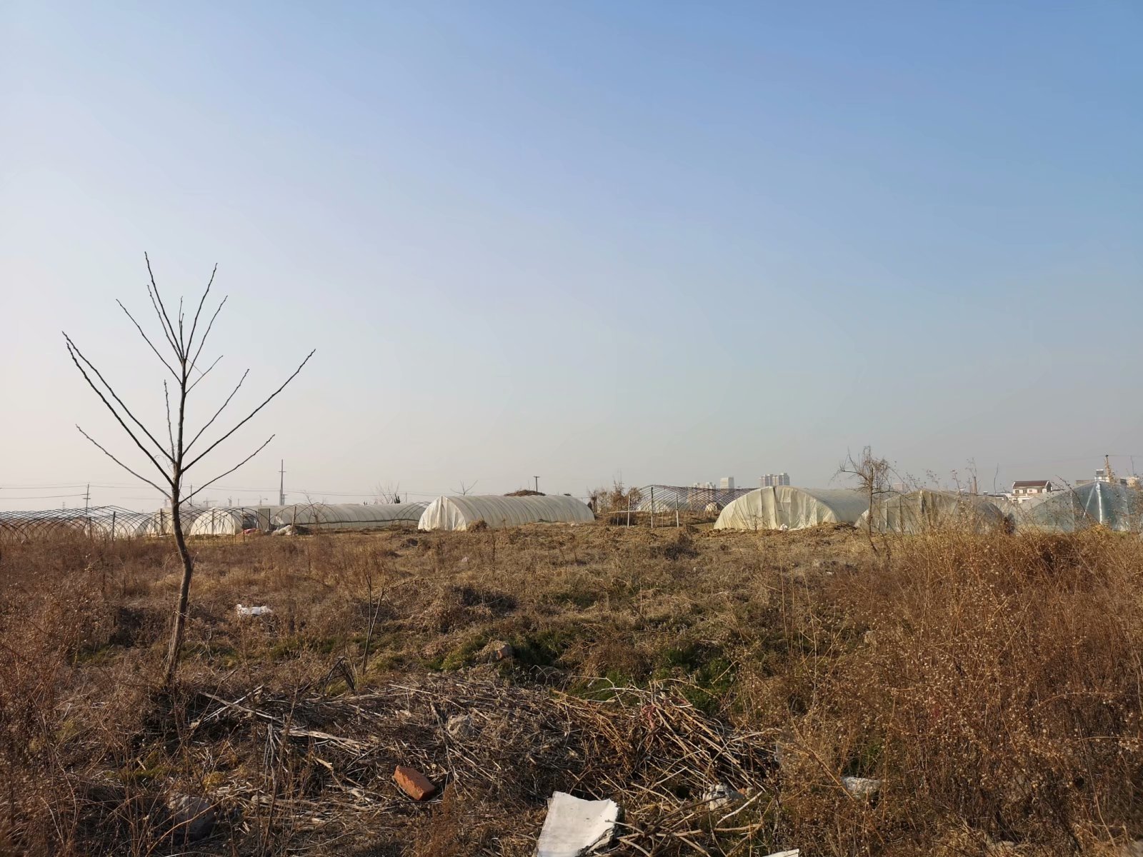 摩托附近风景,摩托打卡地附近