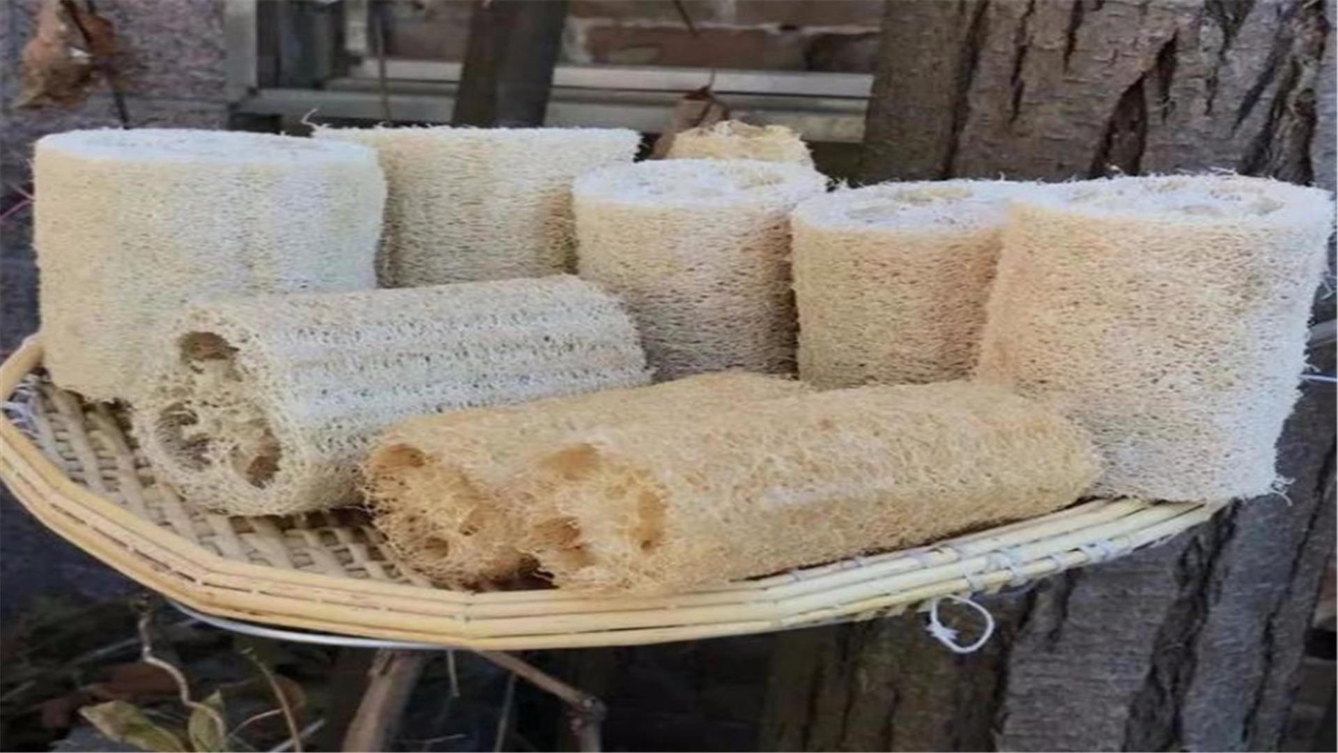 盆栽梅花夏季烂根怎么办,怎么防止盆栽烂根