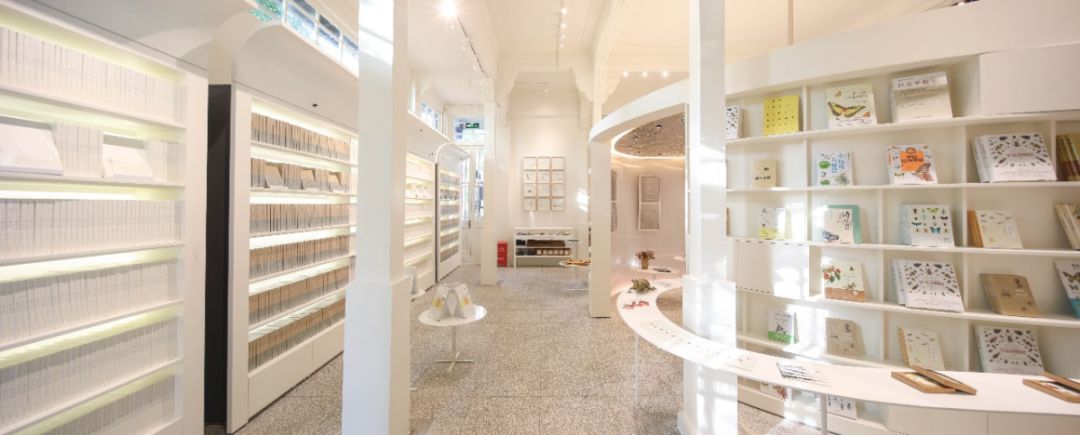 五一南京旅行全攻略,南京到处都是小虫子