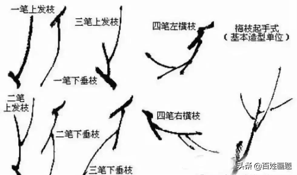 国画梅花画法视频,徐湛梅花画法教程