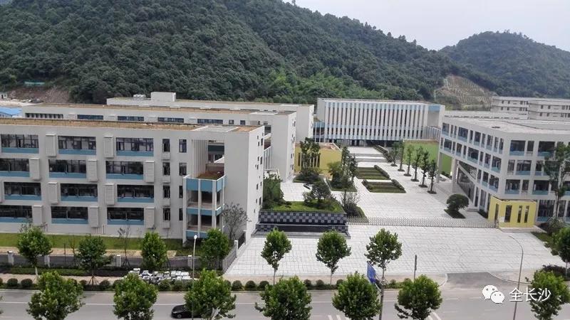 干货圈新晋黑马,干货小零食排行