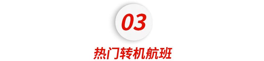 赴美国际航班最新信息,7-8月份全球38国直飞中国航班