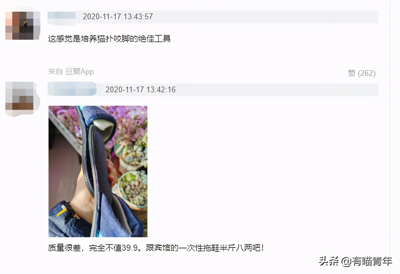 长毛猫撸猫毛工具,哪种撸猫毛的工具好用