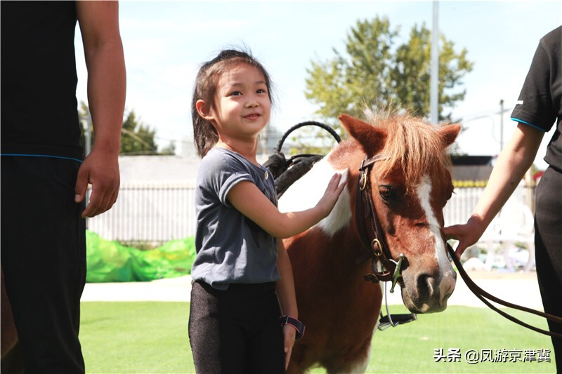 北京大兴马术训练基地活动内容,跑马场北京