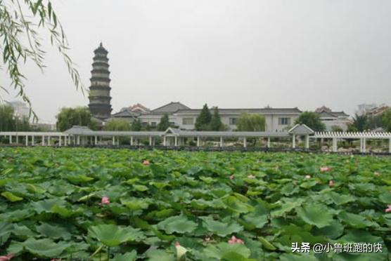 今年在滕州买房合算吗,在滕州买房都交什么费用