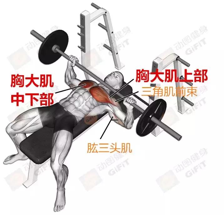 女生健身房器械训练计划一周,初中生健身房器械训练计划