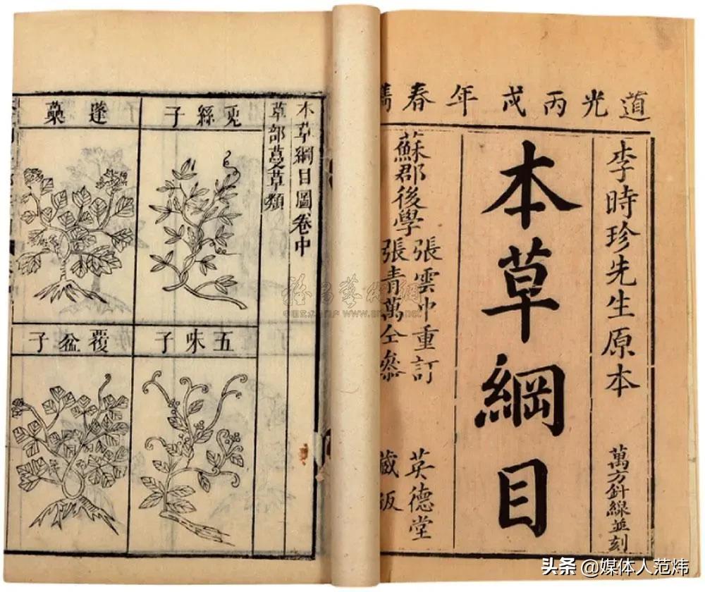 药圣李时珍视频全集,李时珍冒着生命危险品尝药材