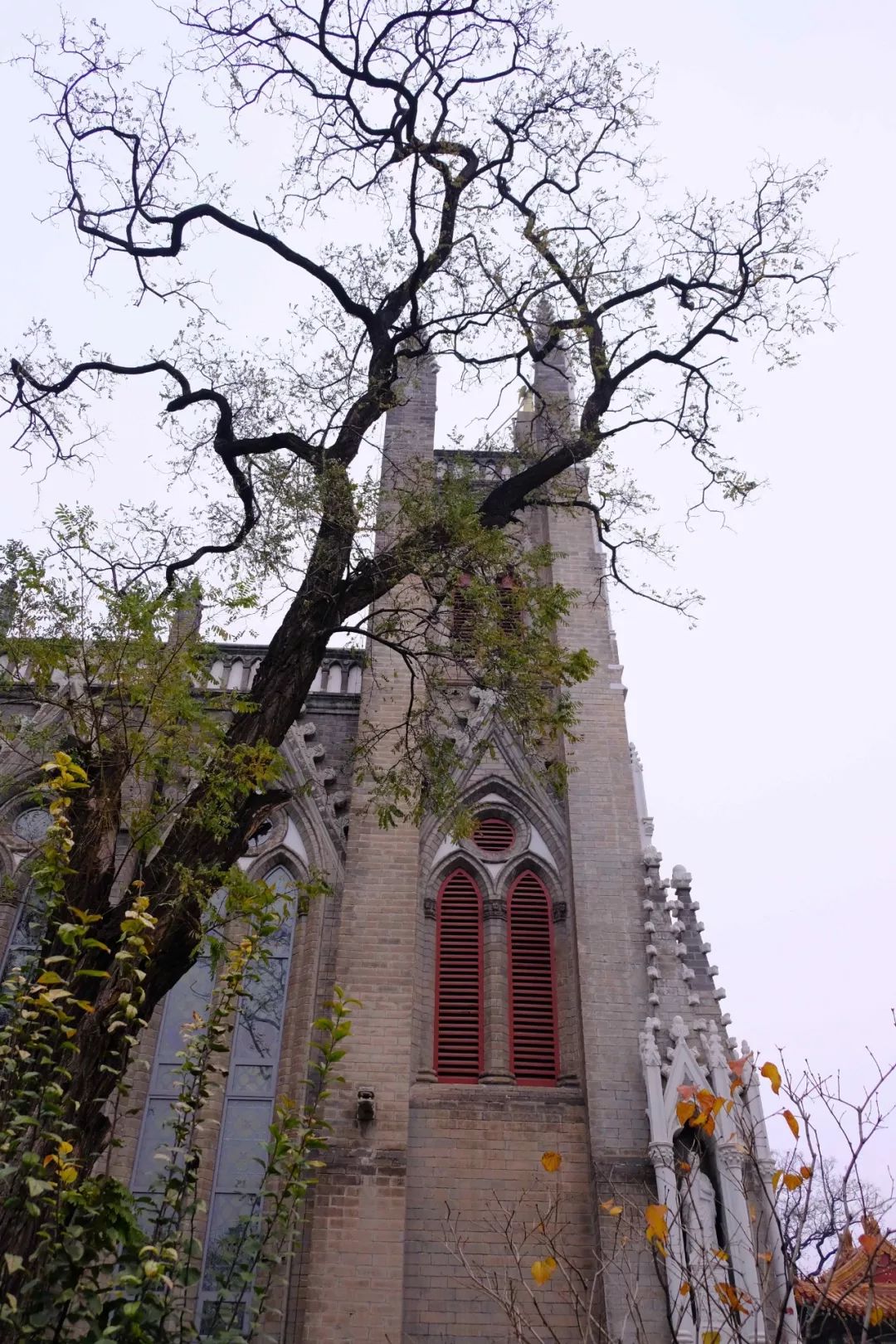 最值得去的小众打卡地,北京小众打卡地荣耀的绝美山顶