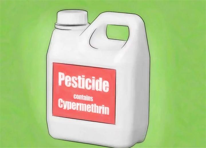 家里蟑螂太多处理方法不用小苏打,家里蟑螂太多怎么能彻底清除蟑螂