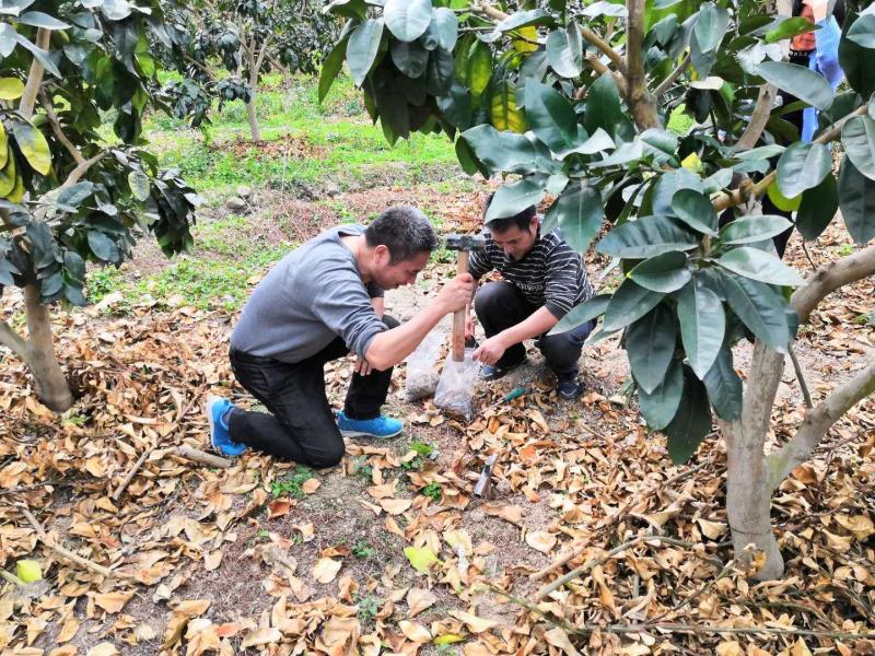 平和农业：科特派带来了什么？