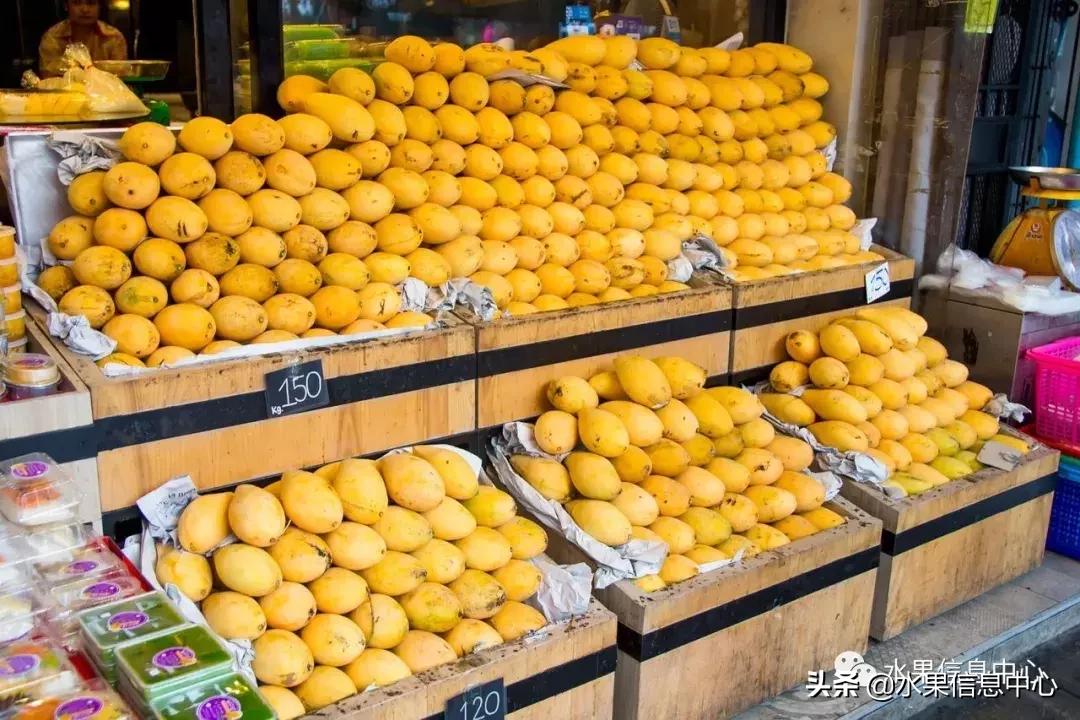 只卖榴莲的水果店,四季芒果水果店