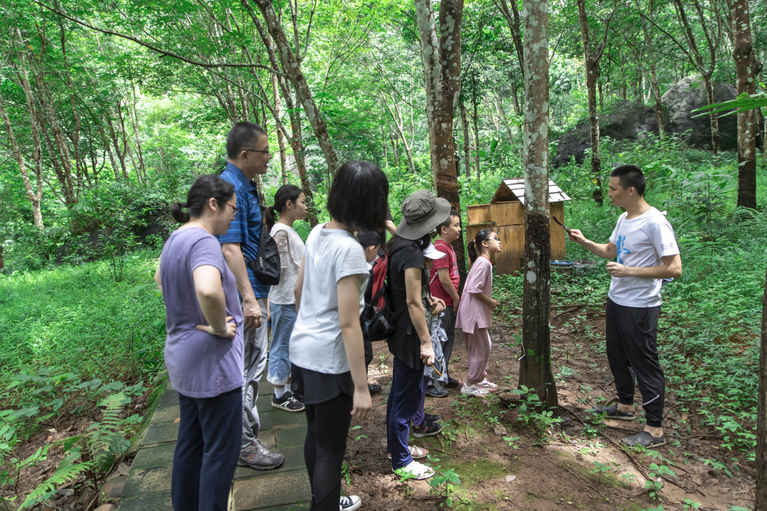 四季露营抖音团购套餐,星空营地抖音团购券