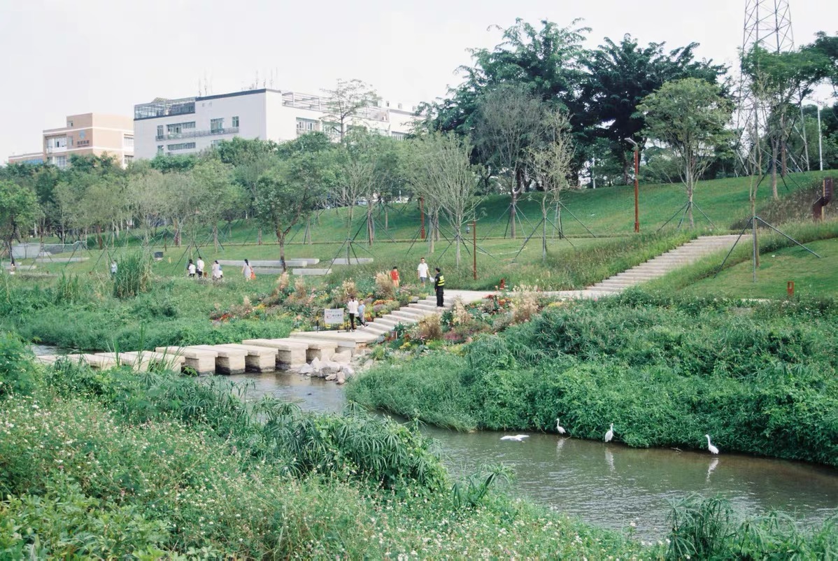 怎么用曲线调整效果图,怎么做出胶片滚动的效果