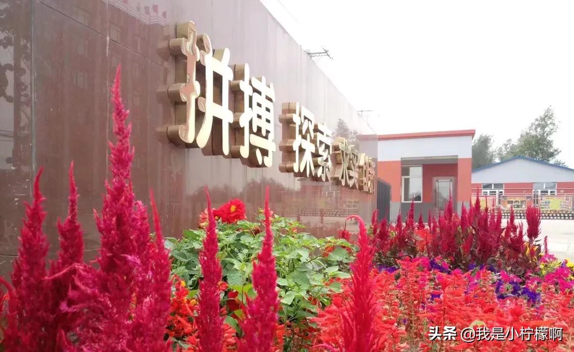 黑龙江三江美术职业学院在哪,黑龙江三江美术职业学院分数