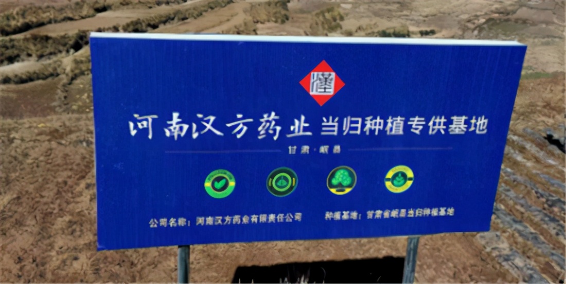 百碧丹胶囊怎么样,百碧丹祛黄褐斑胶囊