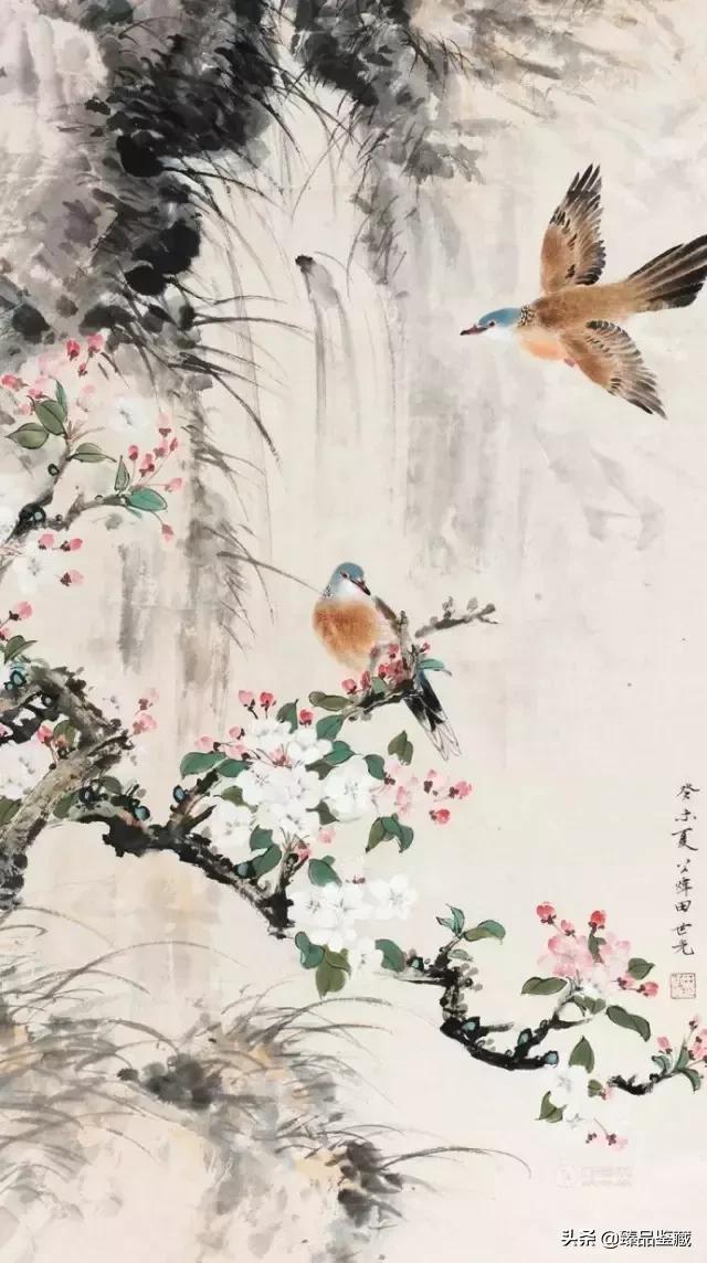 工笔大师田世光,工笔画大师田世光画孔雀好美