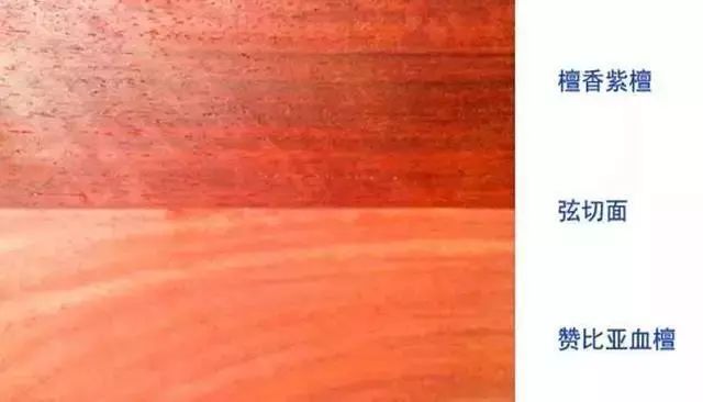 紫檀的真实身份,紫檀最后的样子