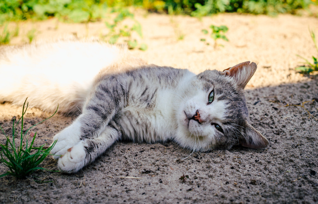浅说“蹲族”|如何拯救你的无聊生活?